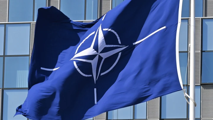 А теперь самое интересное. Ловушка для НАТО в действии