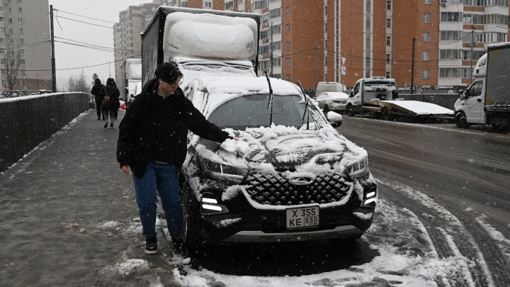 Нашествие крыс грозит разорением водителям