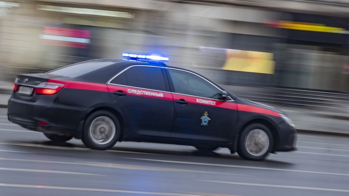 Хамство в адрес Бастрыкина не прошло: В Петербурге обсуждают жёсткие решения СКР