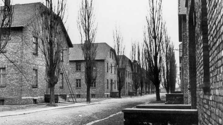 Кого пригласят на годовщину освобождения Освенцима? Русских списке нет, зато есть его создатели