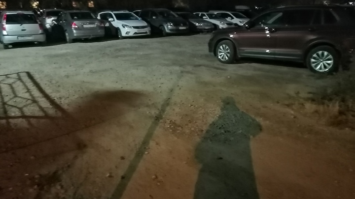 В Магнитогорске задержан нападавший, который стрелял в мужчину с собакой