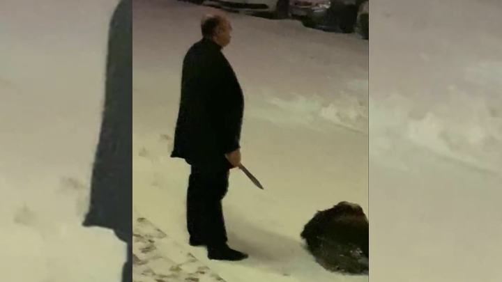 За барана ответят: в Челябинске полиция проверит свадьбу, на которой публично зарезали животное
