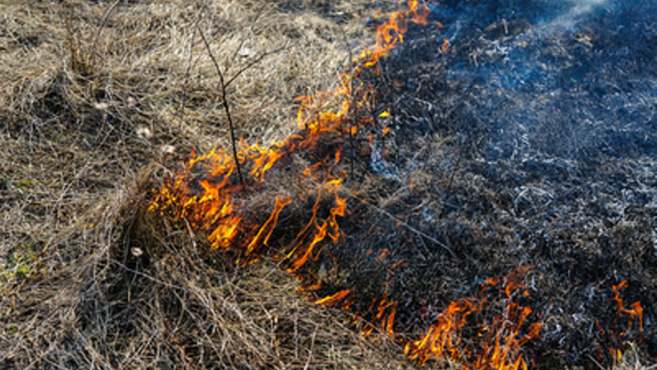 В Мелитопольском районе Запорожской области произошло три природных пожара