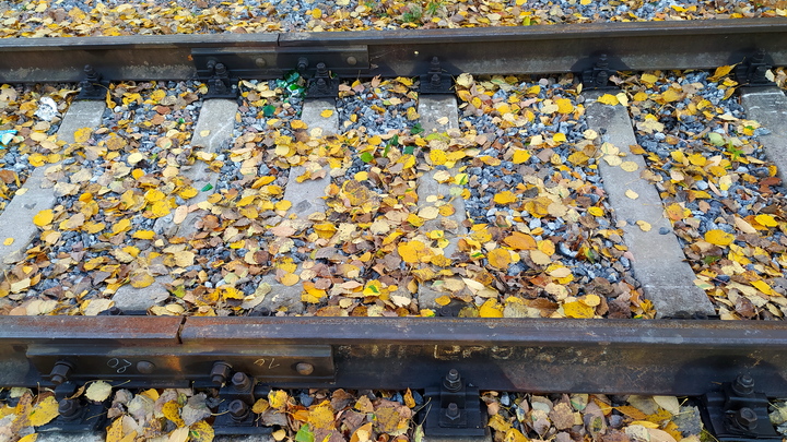 Поезда ЦППК переходят на зимний график движения с 30 октября