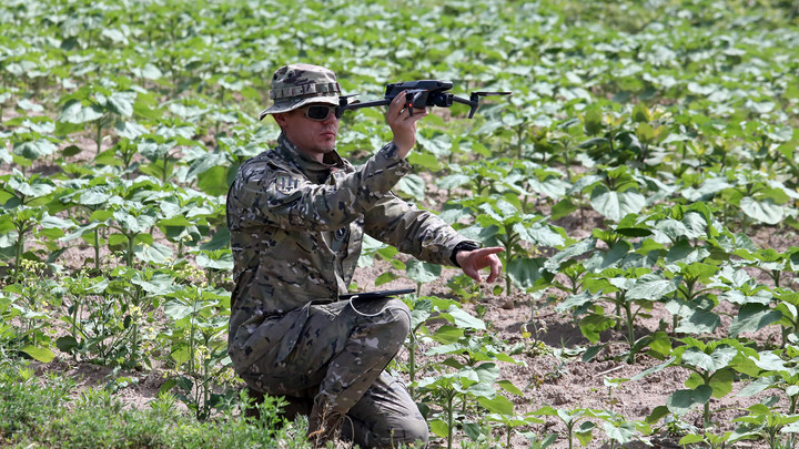 Свирепые птички: Участникам фестиваля в Чернигове раздавали советы по конспирации