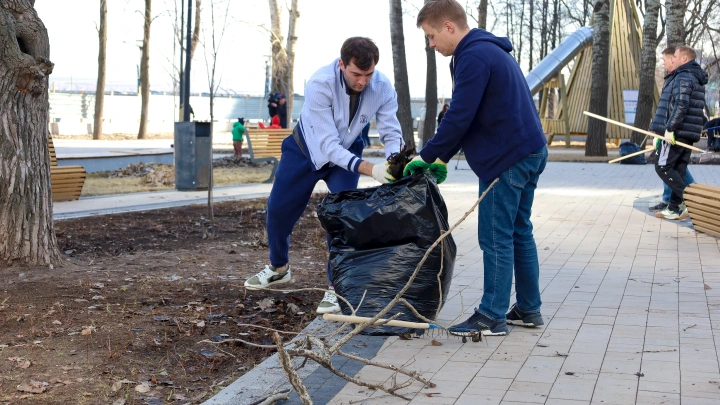 Когда в Подмосковье пройдёт субботник
