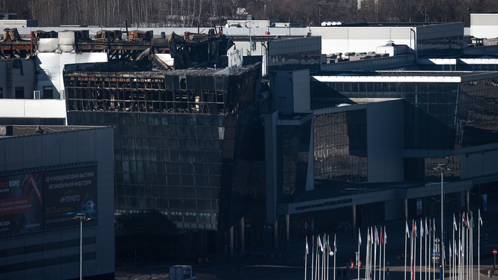 Циничная схема развода русских: Родственница террориста проговорилась