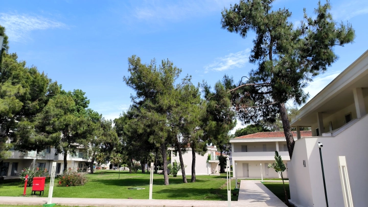 В Турции литовцев и поляков сделали русскими: Решили их порадовать, а вышел скандал