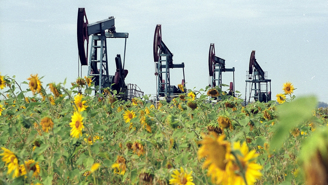 Суд обязал АФК Система выплатить Роснефти 136,3 млрд рублей Суд обязал АФК Система выплатить Роснефти 136,3 млрд рублей