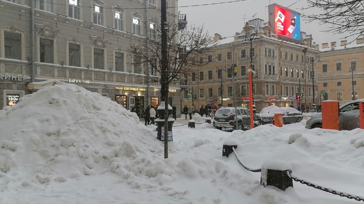 В Петербурге очень не хватает дворников, поэтому снег убирать придется детям