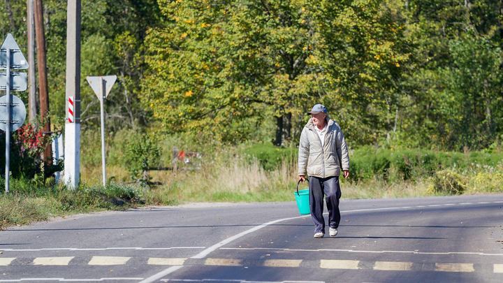 Поисковики объяснили, почему в Свердловской области летом выросло число пропавших людей