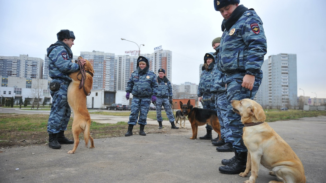 Телефонные террористы переключились с регионов на московские школы Телефонные террористы переключились с регионов на московские школы