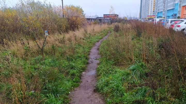 Дубовую аллею в Нижнем Новгороде благоустроили по нацпроекту