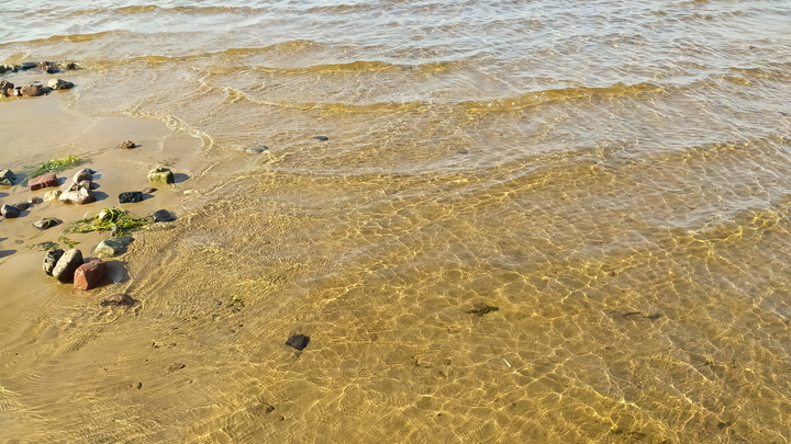 В Сочи после купания в Черном море от ротавируса умерла семилетняя девочка
