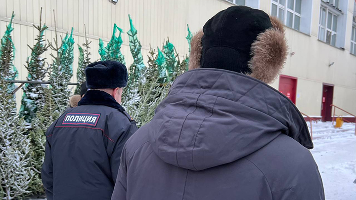 В Минприроды региона рассказали о проверках на ёлочных базарах Новосибирска