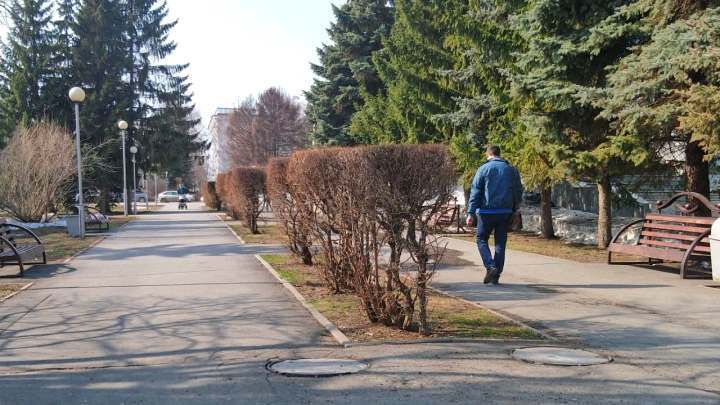 До +13 градусов потеплеет в Кузбассе в воскресенье