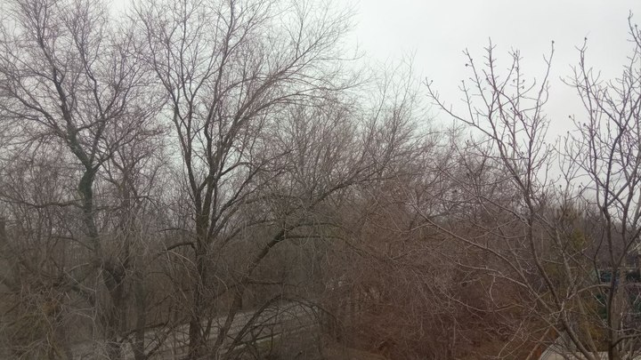 Погода в Ростове-на-Дону 1 февраля 2023: прогноз синоптиков