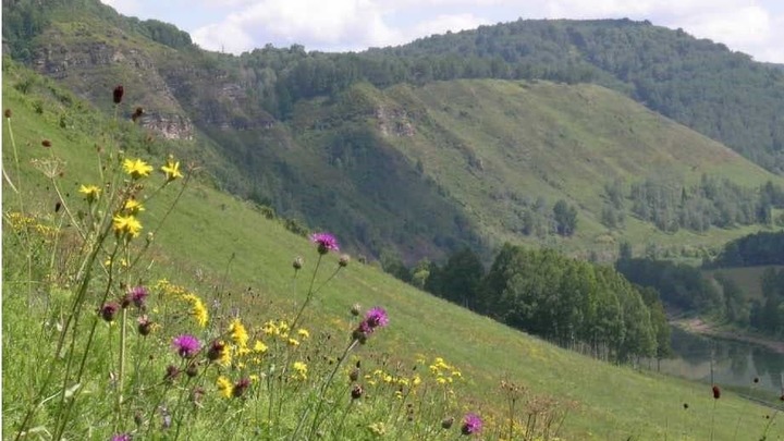 Еще одна особо охраняемая природная территория появилась на юге Кузбасса