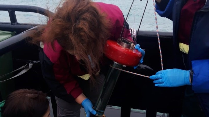 Загрязнено более миллиона километров: по факту разлива нефти в Туапсе возбуждено дело