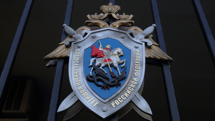 Тяжкая статья: Число уголовных дел против мигрантов в России выросло в разы
