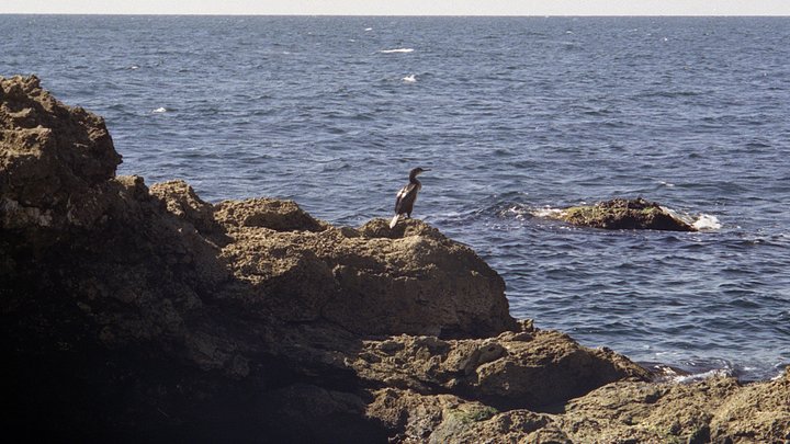 Киев отчитался о перемоге кадрами с базы отдыха в Крыму, умолчав о главном