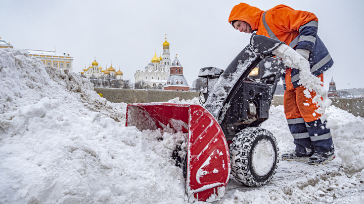 В Новосибирской области снизилось число совершённых мигрантами преступлений