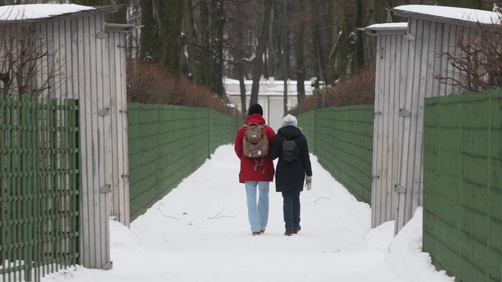 Поиски пропавшей в Новосибирской области 9-летней девочки завершились