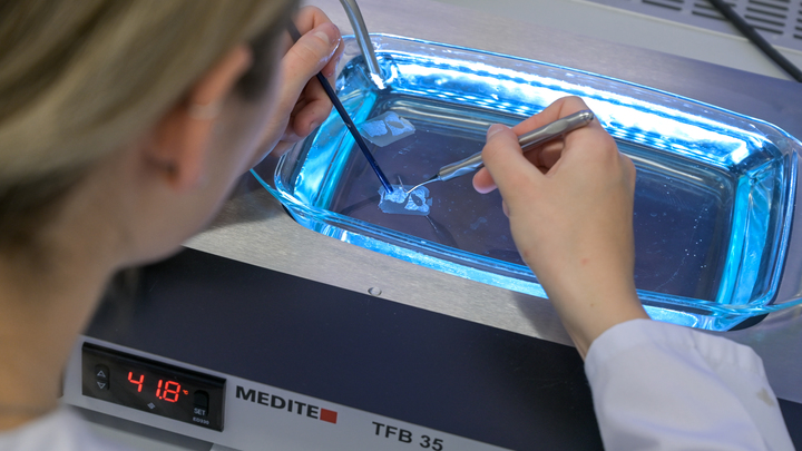 ВИЧ мутировал: Единственную группу риска назвали учёные