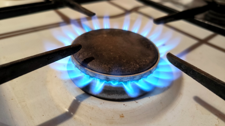 Жительница Электростали и её семилетняя дочь отравились угарным газом