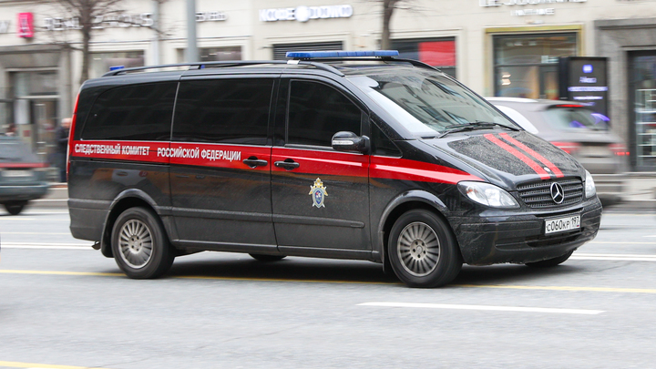 Глава СК поручил провести проверку по истории с мигрантами, избившими Героя России в Подмосковье