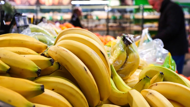 Фермеры Ставрополья научились выращивать бананы. Первый урожай ждут в 2026-м году