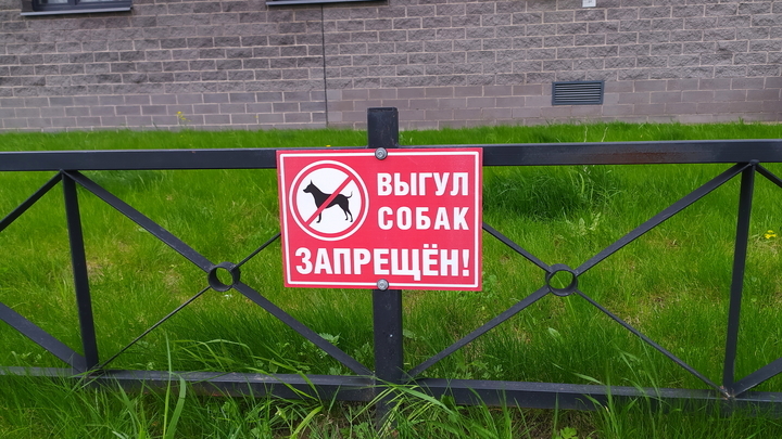 На 2000 рублей в среднем штрафуют собачников в Подмосковье
