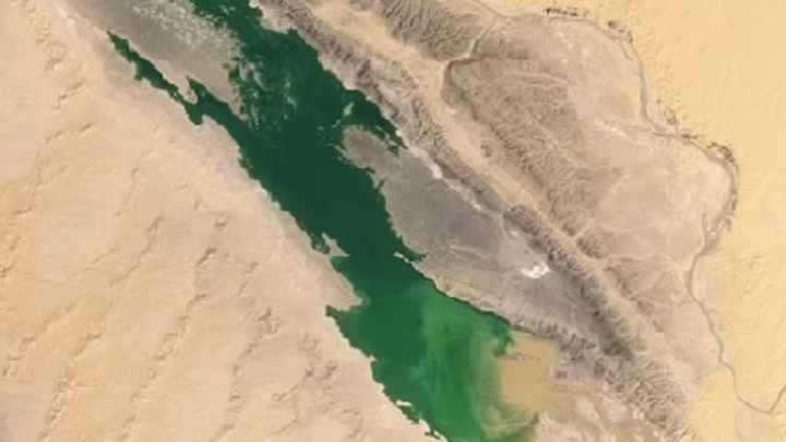 На самое засушливое место на планете - Сахару - обрушилось наводнение