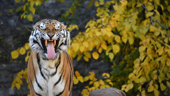 В Кольцово раскрыли расписание новых авиарейсов Екатеринбург - Приморье
