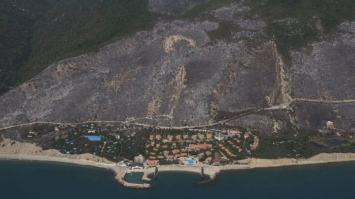 Под Новороссийском лесной пожар локализовали на площади 62 га