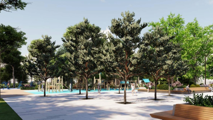 По-весеннему тепло: погода на Кубани 24 февраля