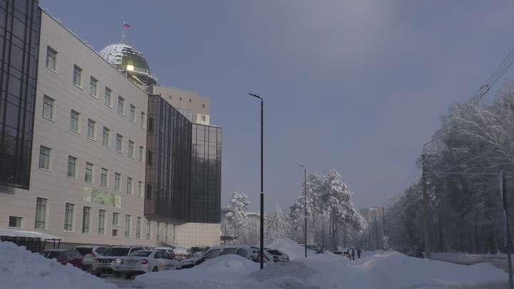 Новосибирск научный: Плюсы и минусы жизни в Академгородке