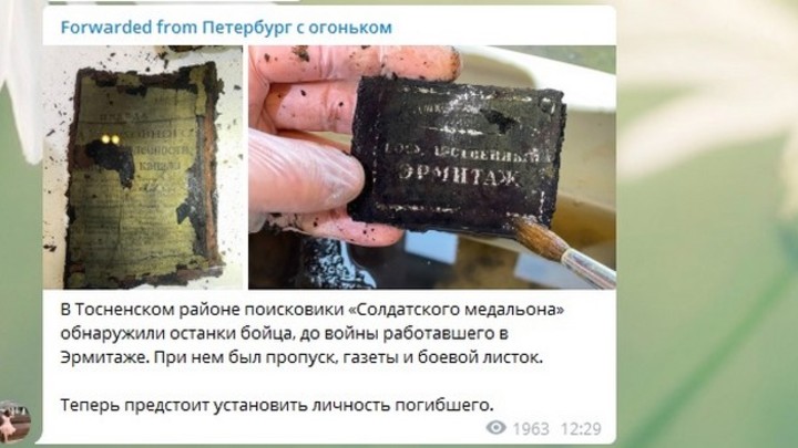 Погиб на войне с Эрмитажем на груди. Кем был боец, останки которого нашли под Петербургом