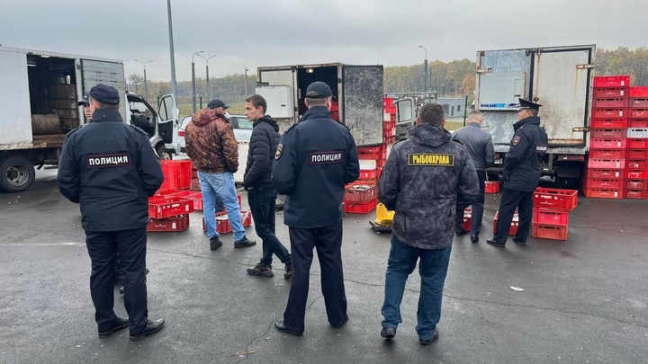 Более тонны рыбы без документов изъято правоохранителями в Агропарке Самары