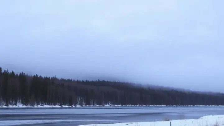 Унесло в чёрную воду: туристка пропала во время ледяного заплыва, пока гид не мог помочь