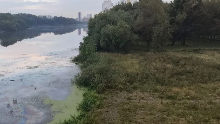 Нефтяное пятно заметили челябинцы на реке в центре города