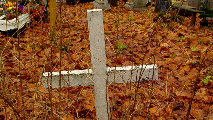 Первый ряд трупов, второй…: Новый ГОСТ с командами смерти вызвал тревогу у людей