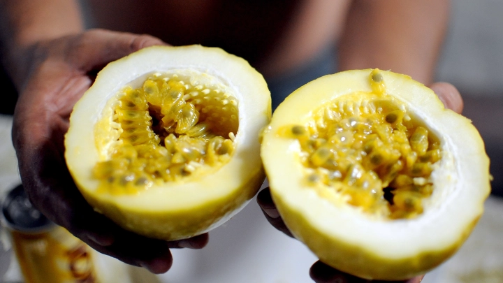 Потянуло на экзотику: Маракуйя и бананы могут вытеснить с посевных полей привычные овощи - Россия не резиновая