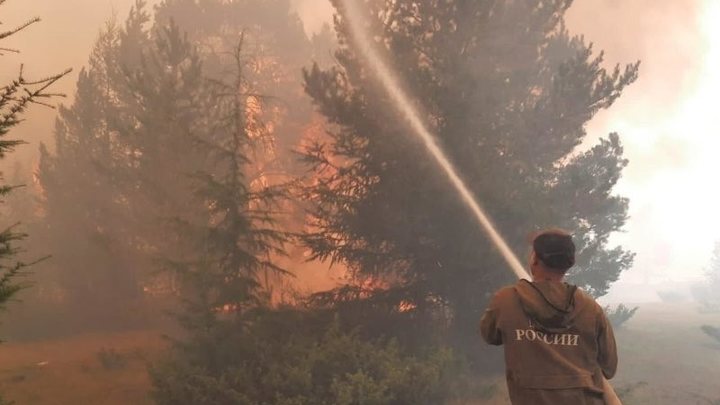 Обещают дожди: Глава Рослесхоза сказал, когда потушат пожары в Якутии