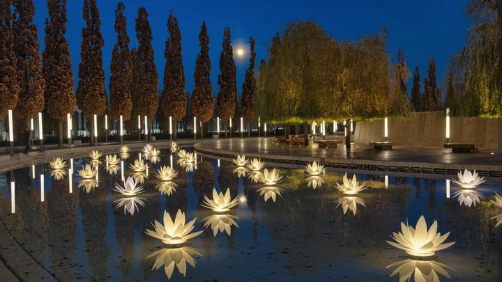 Праздничная атмосфера окутала аллеи: парк Краснодар начали украшать к Новому году