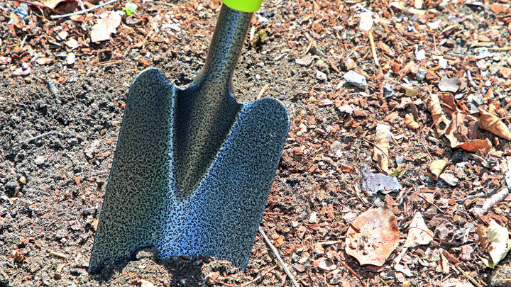 Житель Новосибирской области заставил односельчанина копать себе яму