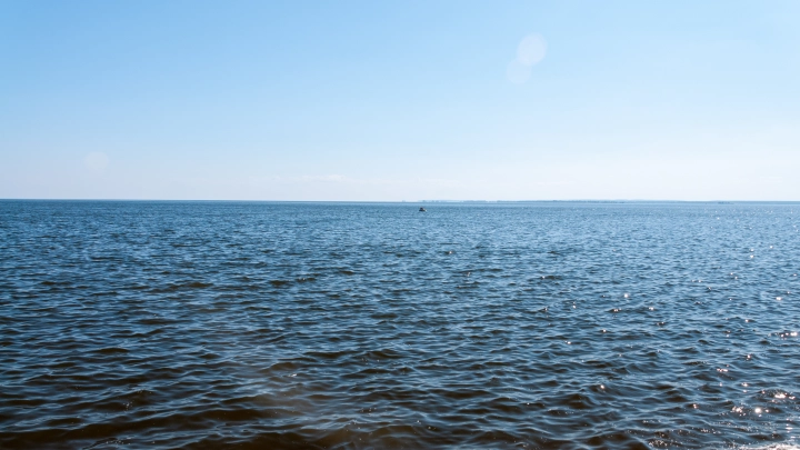 Академик объяснил, почему от Херсона зависит судьба всего Донбасса