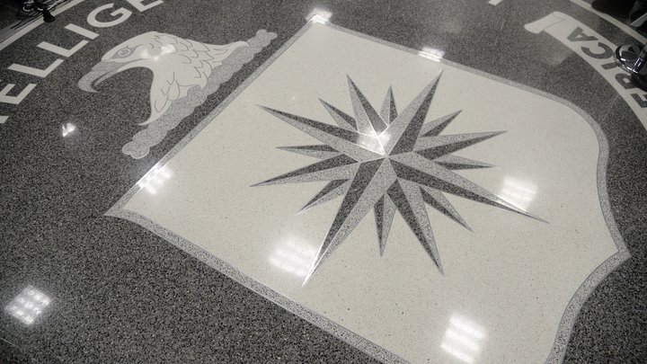 Сенатор на шоу Такера Карлсона: ЦРУ руководит действиями Киева в конфликте с Россией