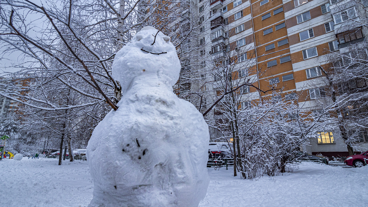 Снегопад, мороз и гололёд: Каким будет декабрь в Московской области