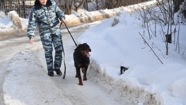 Полицейские три часа искали в ТРЦ Океанис взрывное устройство в Нижнем Новгороде